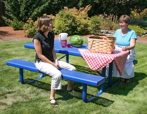Two women sitting at a blue picnic table with a red and white checkered tablecloth and a picnic basket.