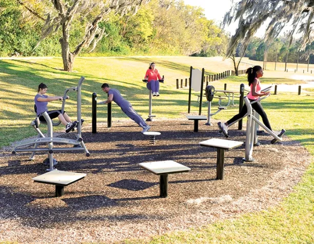 Adults exercising on outdoor fitness equipment in a sunny park setting.