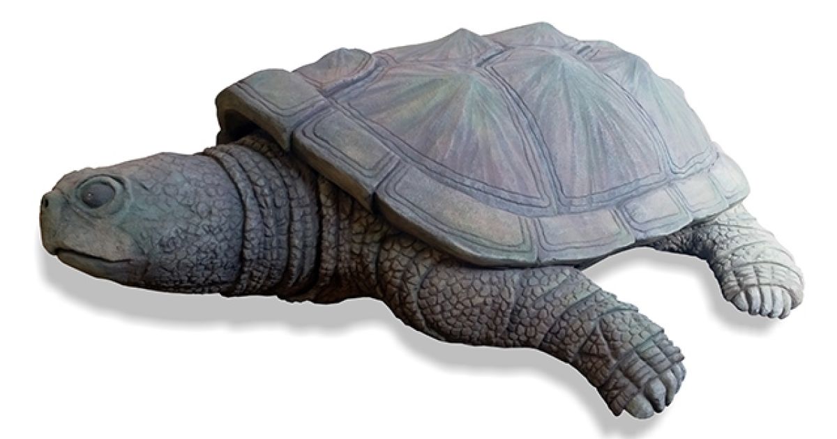 Snapping Turtle TC030 | Playcraft Systems